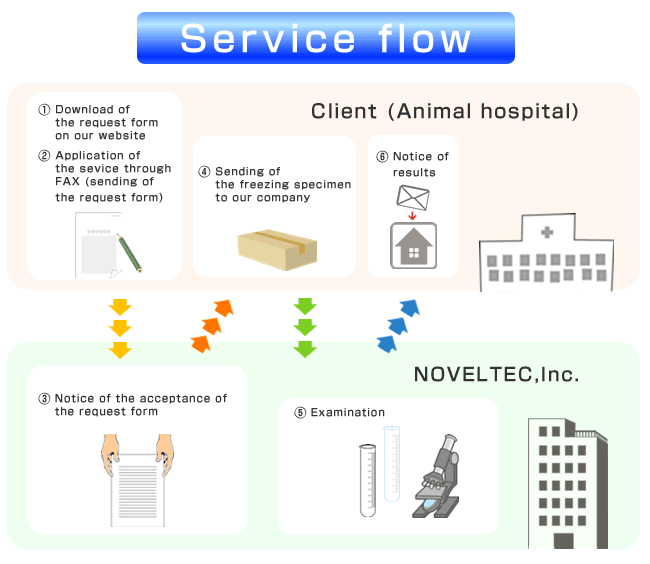 Service flow