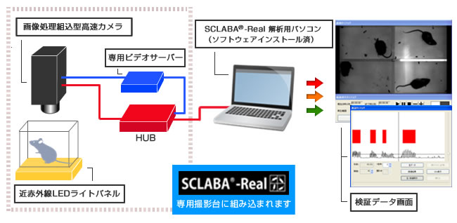 SCLABA®-Real̃VXe